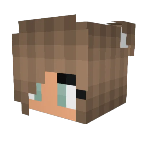 TinyElephant012 Minecraft avatar head, 3D render