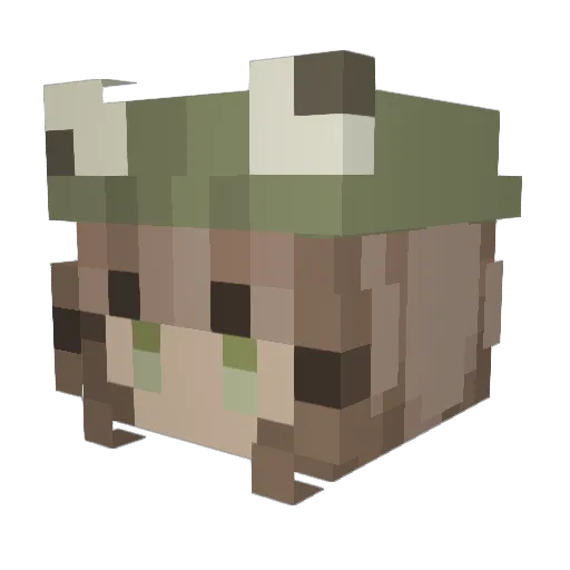 TinyEllie07 Minecraft avatar head, 3D render