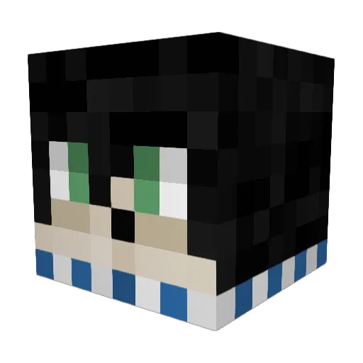 TinyFallen Minecraft avatar head, 3D render