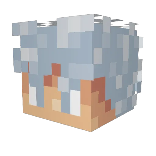 TinyFatal Minecraft avatar head, 3D render