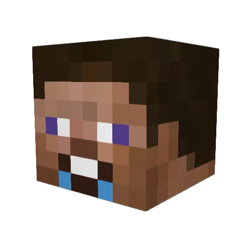 TinyFishNuts Minecraft avatar head, 3D render