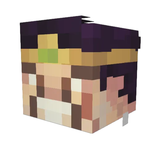 TinyFloW Minecraft avatar head, 3D render