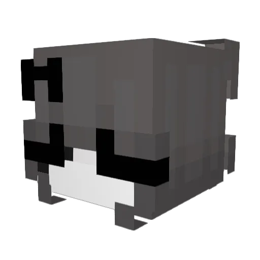 TinyFrog256 Minecraft avatar head, 3D render