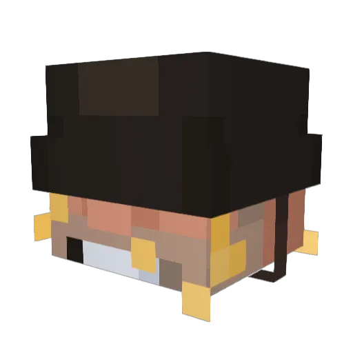 TinyGrunt16 Minecraft avatar head, 3D render
