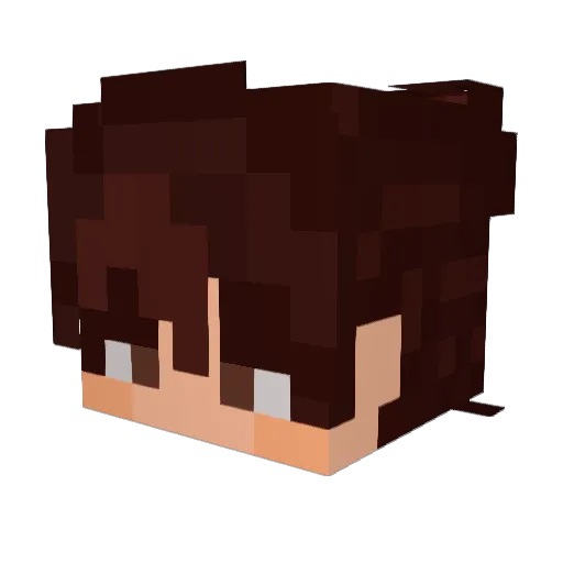 TinyI0I Minecraft avatar head, 3D render