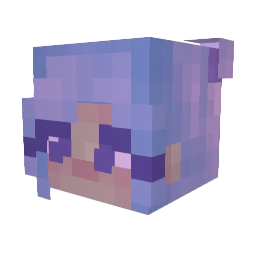TinyInnit Minecraft avatar head, 3D render
