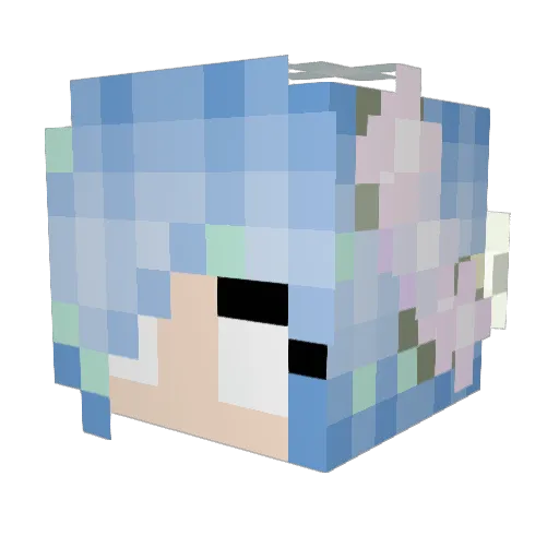 TinyKat48 Minecraft avatar head, 3D render