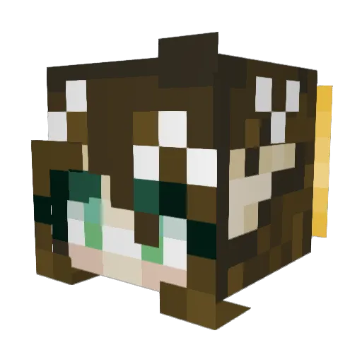 TinyLoveHugs Minecraft avatar head, 3D render