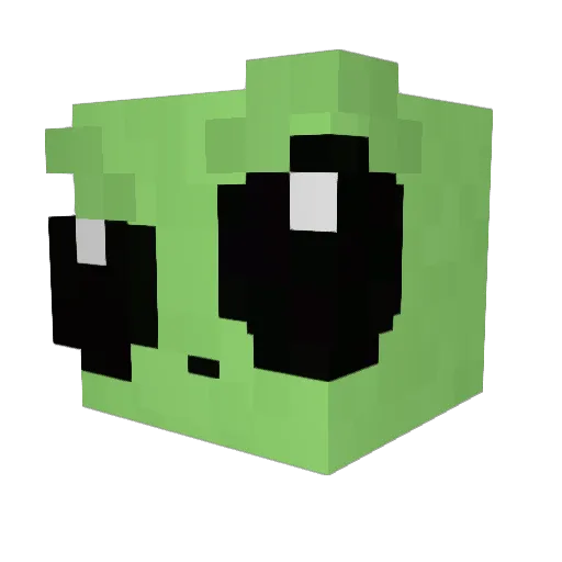 TinyMan2oo5 Minecraft avatar head, 3D render