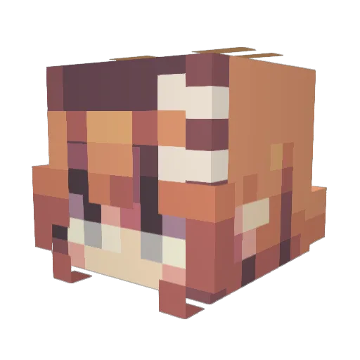 TinyOasis Minecraft avatar head, 3D render