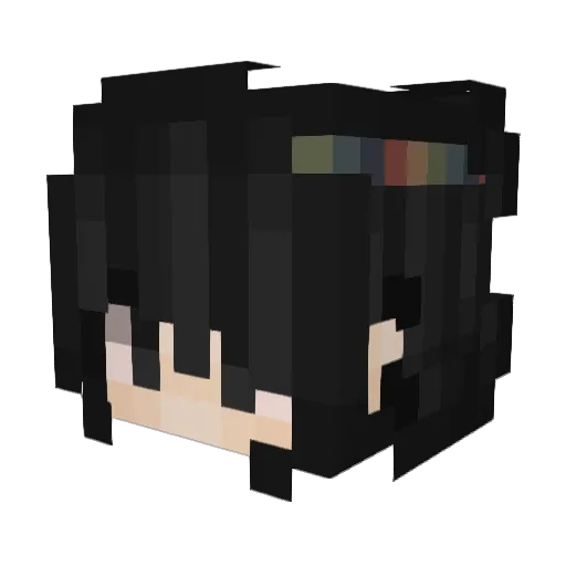 TinyPerson_ Minecraft avatar head, 3D render