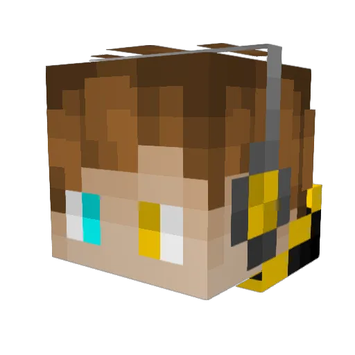 TinyPokemon13 Minecraft avatar head, 3D render