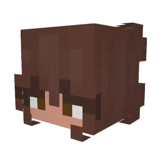 TinyPrincess567 Minecraft avatar head, 3D render