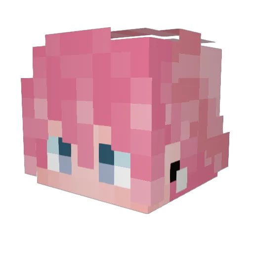TinyRobbie Minecraft avatar head, 3D render