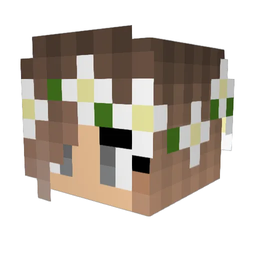 TinyScootch Minecraft avatar head, 3D render