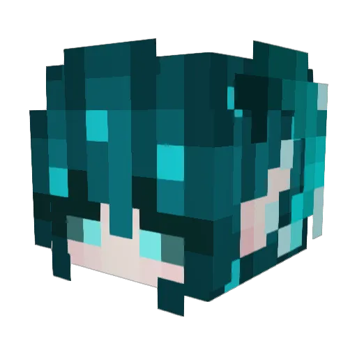 TinySightseer09 Minecraft avatar head, 3D render