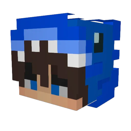 TinySnowMan09 Minecraft avatar head, 3D render
