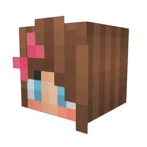 TinyT63 Minecraft avatar head, 3D render