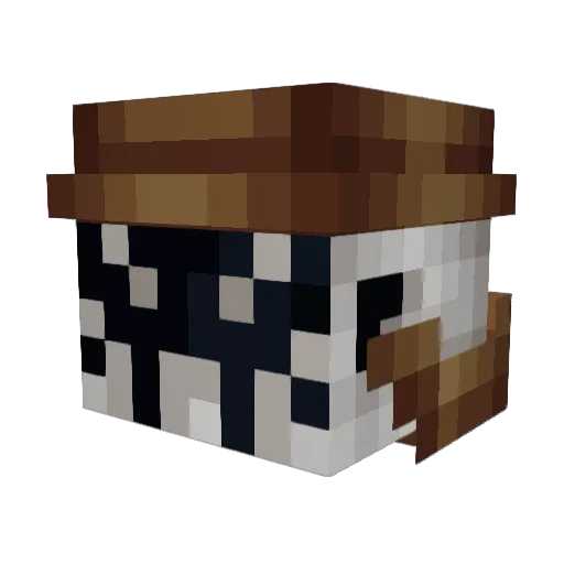 TinyTC1992 Minecraft avatar head, 3D render