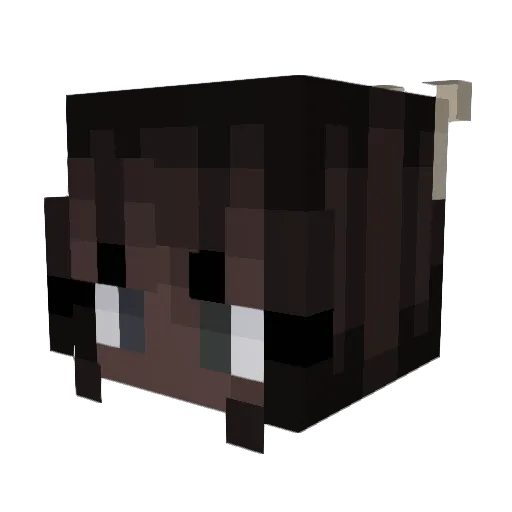 TinyTea27 Minecraft avatar head, 3D render