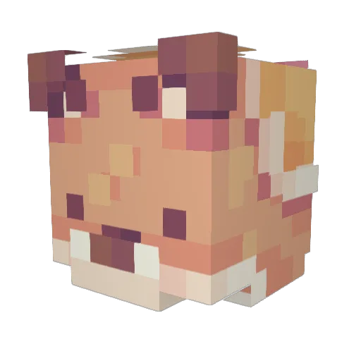 TinyToast8976 Minecraft avatar head, 3D render