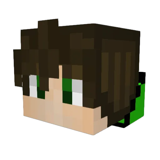 TinyToucan12 Minecraft avatar head, 3D render