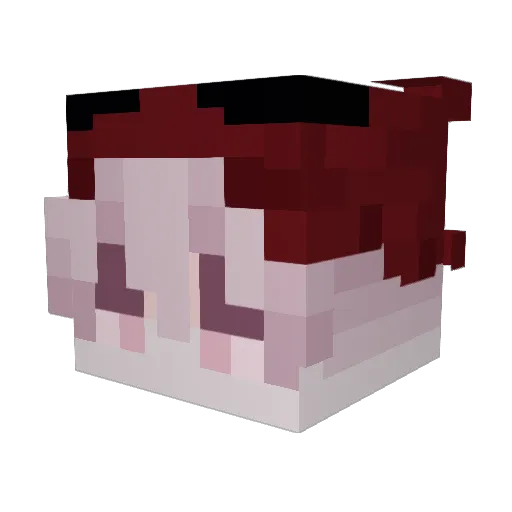 TinyTrails Minecraft avatar head, 3D render