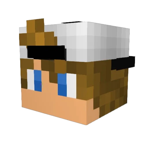 TinyTurtle32011 Minecraft avatar head, 3D render