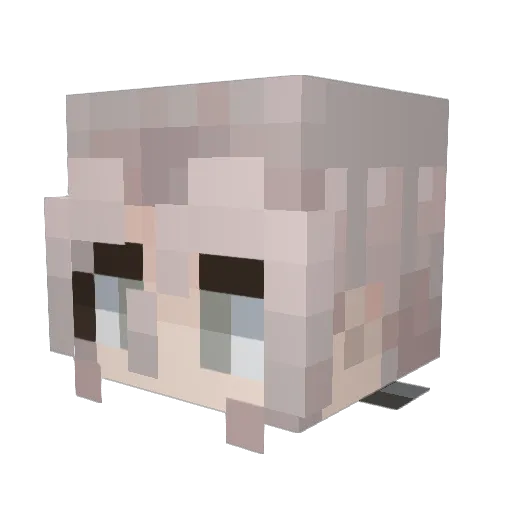 Tiny_Clown_Shoes Minecraft avatar head, 3D render