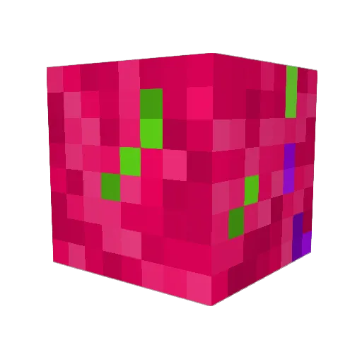 Tiny_Donut_14 Minecraft avatar head, 3D render