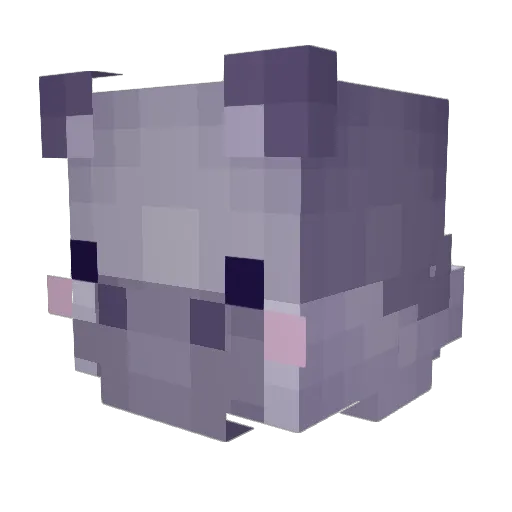 Tiny_Hama Minecraft avatar head, 3D render
