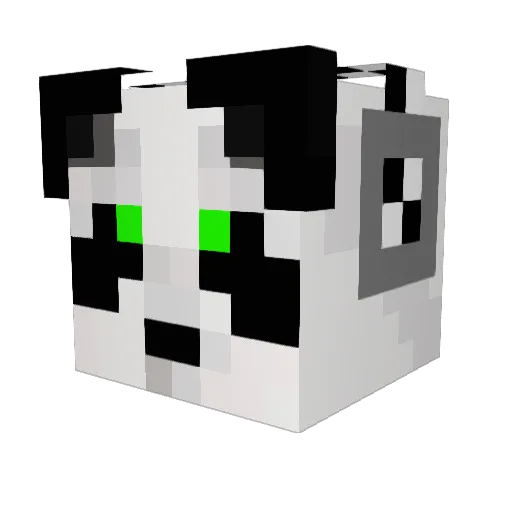 Tiny_Panda_1213 Minecraft avatar head, 3D render