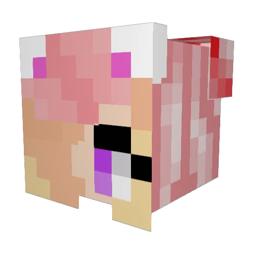 Tiny_Rainbowgurl Minecraft avatar head, 3D render