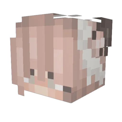 Tiny_Tick Minecraft avatar head, 3D render