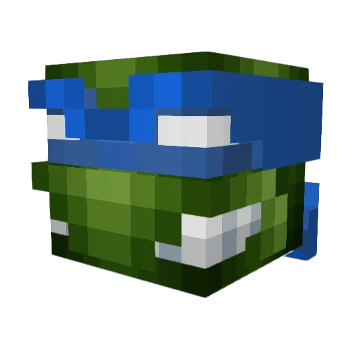 Tiny_Turtle2 Minecraft avatar head, 3D render