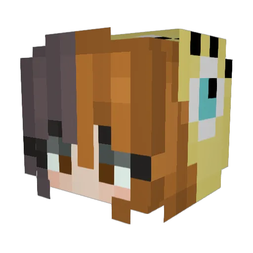 Tinybodybigheart Minecraft avatar head, 3D render