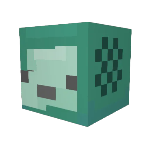 Tinycat33 Minecraft avatar head, 3D render