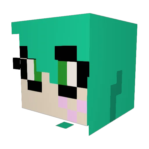 TinyfoxTrot Minecraft avatar head, 3D render