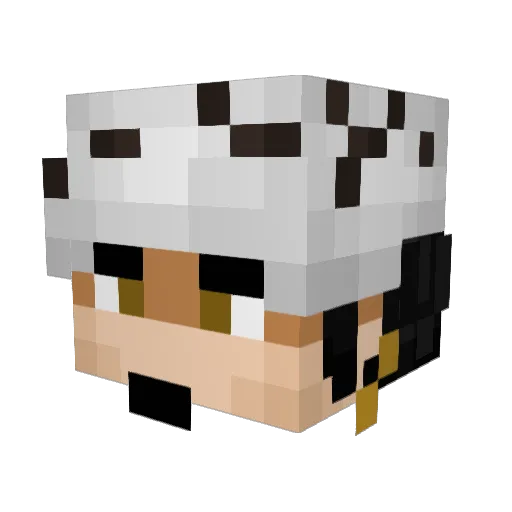 Tinyguy7 Minecraft avatar head, 3D render