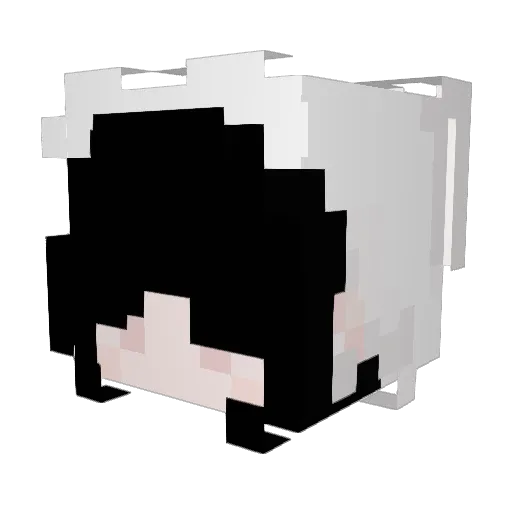 Tinyrukun Minecraft avatar head, 3D render