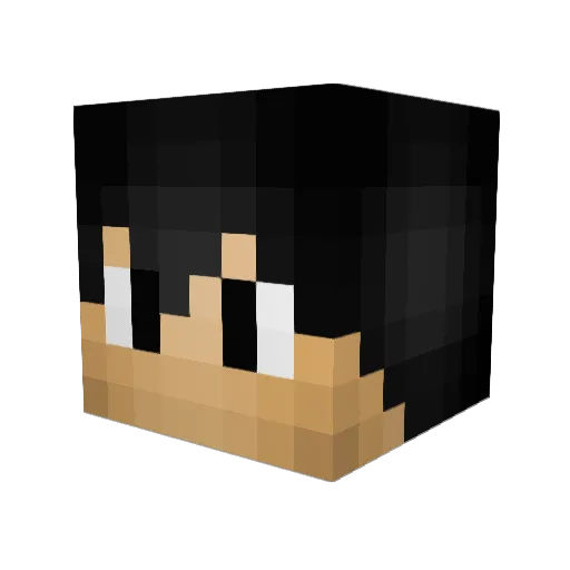 TioCurl Minecraft avatar head, 3D render