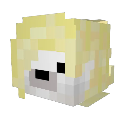 TioDoPicole Minecraft avatar head, 3D render