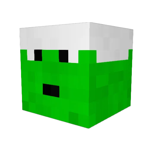 TioFo Minecraft avatar head, 3D render