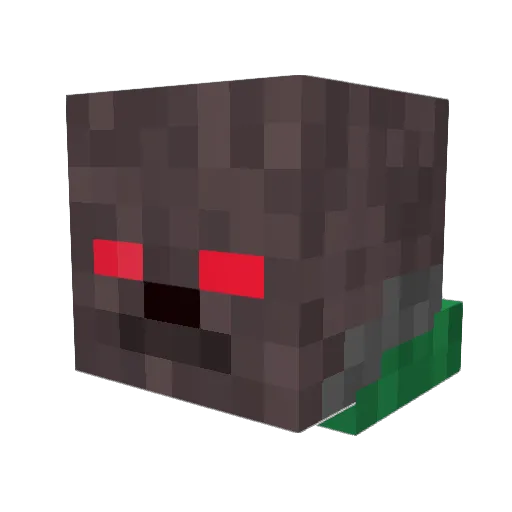 TioMaui Minecraft avatar head, 3D render