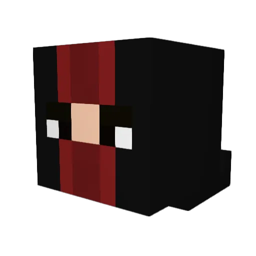 TioRyan0 Minecraft avatar head, 3D render