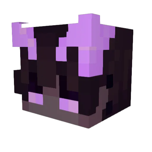 Tioarex Minecraft avatar head, 3D render