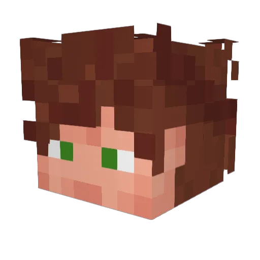 Tiodonne Minecraft avatar head, 3D render