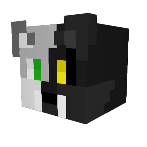 Tiomon16 Minecraft avatar head, 3D render