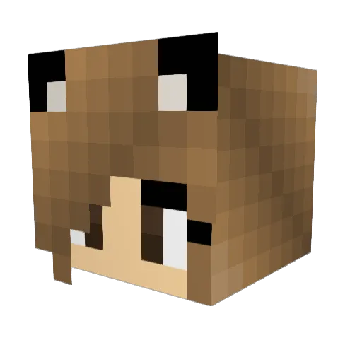 Tios_ Minecraft avatar head, 3D render