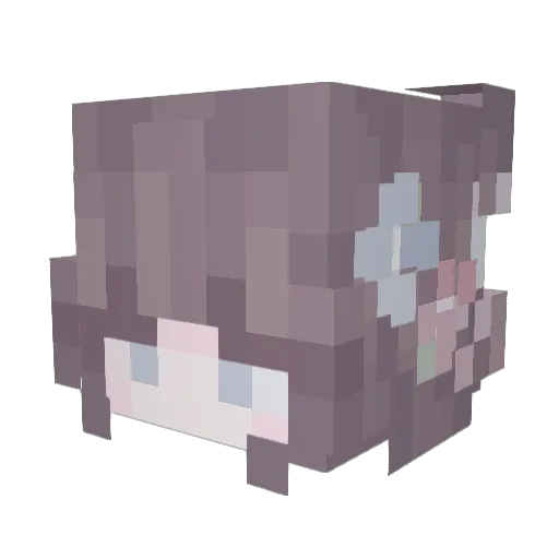 Tip_Top Minecraft avatar head, 3D render